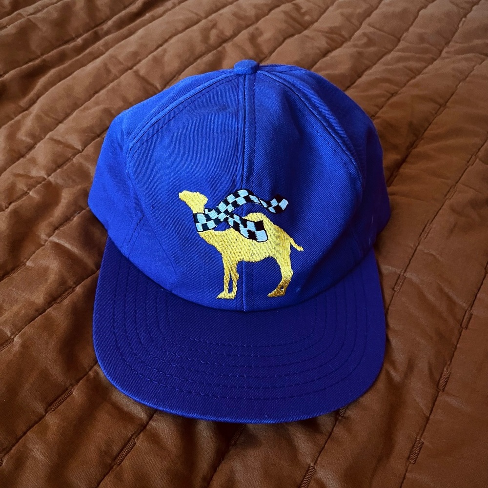 Vintage Camel Embroidered Snapback